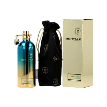 Dámský parfém Montale Paris Aoud Lagoon EDP 100 ml UNISEX