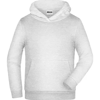 Pánská mikina James & Nicholson Pánská mikina s kapucí - 5XL ash (02079660015)