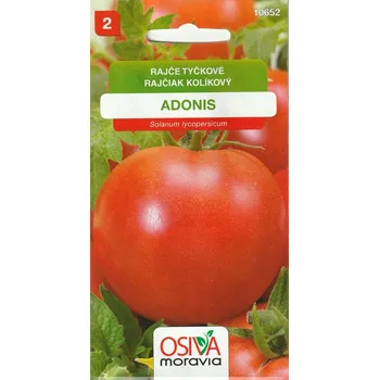 Semeno Rajče tyčkové Adonis (rané, malinově červené) 12/2025