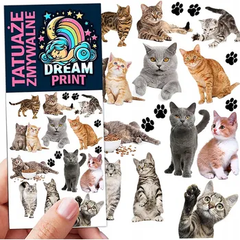 Odstranitelné tetování Filmová a herní nálepka na tetování Dětské vodní tetování Omyvatelné k narozeninám Dárek Dočasný dárek pro děti Originální opakovaně použitelné Spousta Vzorů