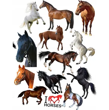 Odstranitelné tetování Filmová a herní nálepka na tetování Dětské vodní tetování Omyvatelné k narozeninám Dárek Dočasný dárek pro děti Originální opakovaně použitelné Spousta Vzorů