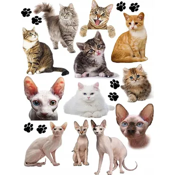 Odstranitelné tetování Smyvatelné tetování pro děti - dočasné tetovačky s kočkami