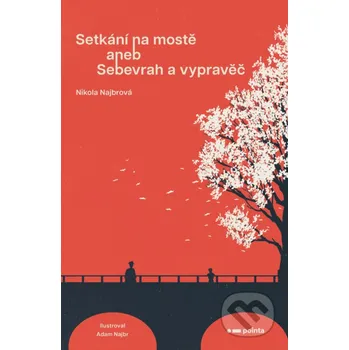 Kniha Setkání na mostě - Nikola Najbrová Pointa