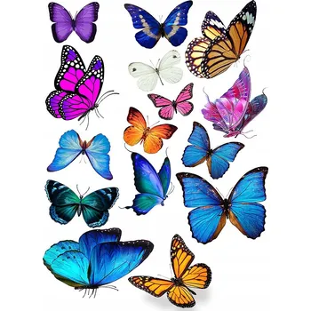Odstranitelné tetování Smyvatelné tetování pro děti - Motýlci