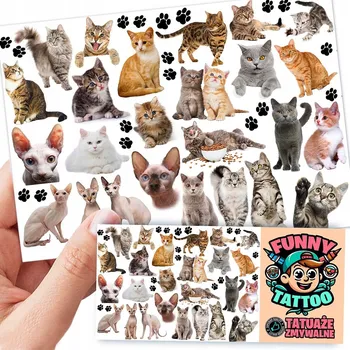 Odstranitelné tetování Tetování KOČKY VTIPNÉ TETOVÁNÍ 1 ks