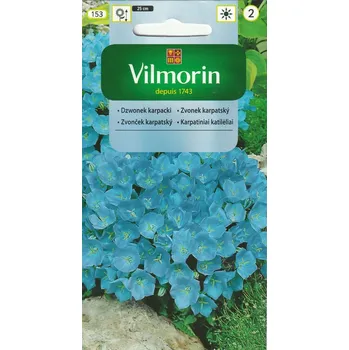 Semeno Zvonek karpatský (modrý)