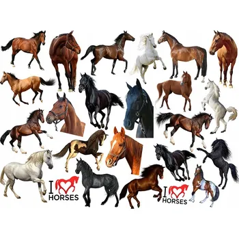 Odstranitelné tetování Smyvatelné tetování pro děti - Koně - Sada