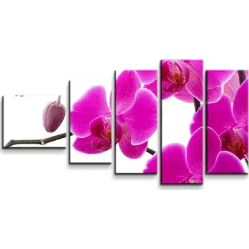 Obraz Sablio Obraz - 5-dílný Fialové orchideje - 100x60 cm