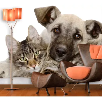 Tapeta Sablio Tapeta Kočička a štěňátko - 125x75 cm