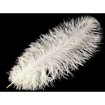 Pštrosí peří délka 60 cm, střední, 21 krémová světlá
