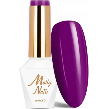Přípravek na nehty Molly Nails Hybridní lak 8 g - Č. 53 Successful Woman