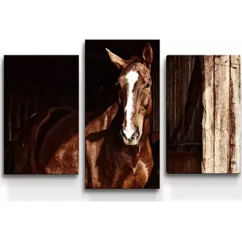 Obraz Sablio Obraz - 3-dílný Kůň ve stáji - 75x50 cm