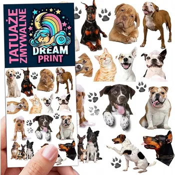 Odstranitelné tetování Filmová a herní nálepka na tetování Dětské vodní tetování Omyvatelné k narozeninám Dárek Dočasný dárek pro děti Originální opakovaně použitelné Spousta Vzorů