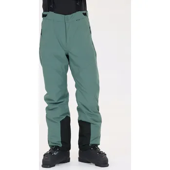 Snowboardové kalhoty Pánské lyžařské kalhoty Whistler Drizzle W-PRO 10000 M Mátové