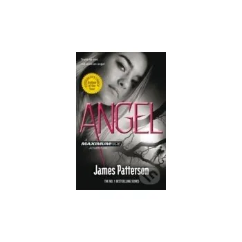 Beletrie pro dospělé Maximum Ride: Angel - James Patterson Arrow Books