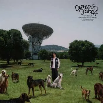 Zahraniční hudba LP Depresión Sonora: Los Perros No Entienden Internet (... Y Yo No Entiendo De Sentimientos) 2025