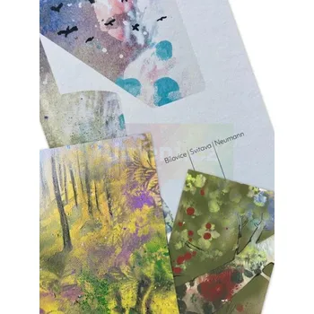 Umění Kniha lesů, vod a strání : S. K. Neumann : limitovaná edice s originální ilustrací Martiny Trchové - Stanislav Kostka Neumann, ilustrace Martina Trchová