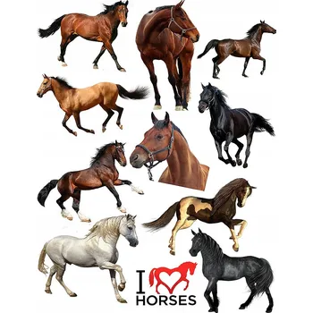 Odstranitelné tetování Dočasné tetování pro děti - Koně