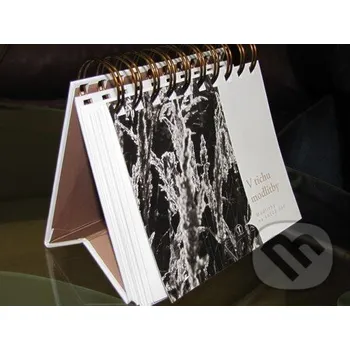 V tichu modlitby (špirálová väzba) - Tranoscius Tranoscius