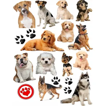 Odstranitelné tetování Filmová a herní nálepka na tetování Dětské vodní tetování Omyvatelné k narozeninám Dárek Dočasný dárek pro děti Originální opakovaně použitelné Spousta Vzorů