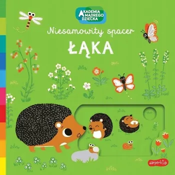 Umění Łąka Niesamowity spacer Emiri Hayashi na louce