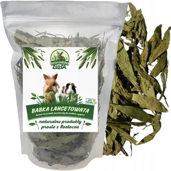 Krmivo pro hlodavce Roztoczańskie zioła krmivo byliny 0,5 kg křeček, osmák degu, králík, myš, myšák, krysa, činčila, morče, veverka