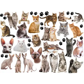 Odstranitelné tetování DOČASNÉ TETOVÁNÍ PRO DĚTI - KOČKY - SADA