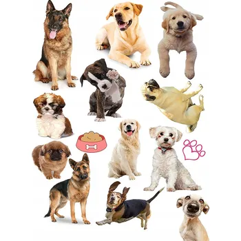 Odstranitelné tetování DOČASNÉ OMYVATELNÉ TETOVÁNÍ PRO DĚTI PSI