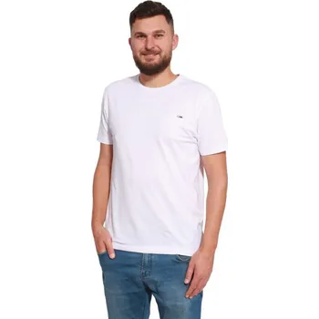 Pánské tričko Tričko krátký rukáv DAVID bílá XXL