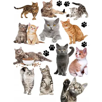 Odstranitelné tetování Filmová a herní nálepka na tetování Dětské vodní tetování Omyvatelné k narozeninám Dárek Dočasný dárek pro děti Originální opakovaně použitelné Spousta Vzorů