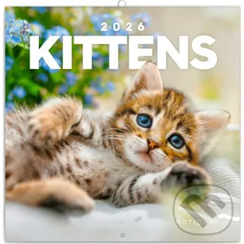 Doplněk ke knize NOTIQUE Nástenný poznámkový kalendár Kittens (Mačiatka) 2026 - Notique Notique
