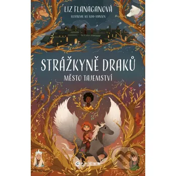Kniha Strážkyně draků: Město tajemství - Liz Flanagan CPRESS