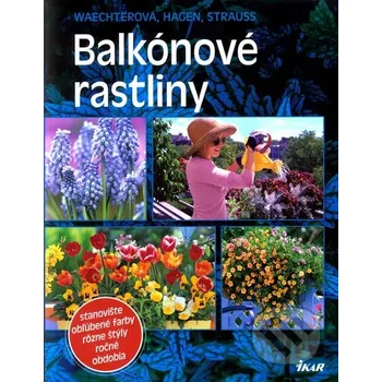 Balkónové rastliny - Ikar Ikar