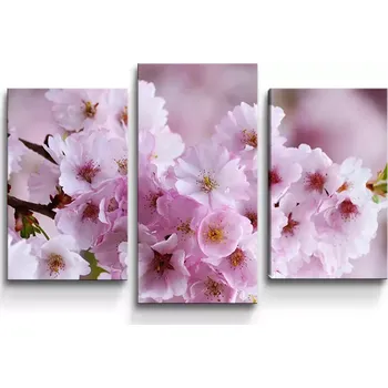 Obraz Sablio Obraz - 3-dílný Rozkvetlý strom - 75x50 cm