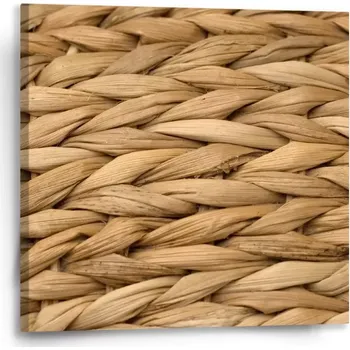 Obraz Sablio Obraz Banánové listí 2 - 50x50 cm