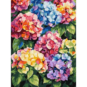 Obraz Obraz Malování podle čísel 30x40 IDEYKA NA RÁMU