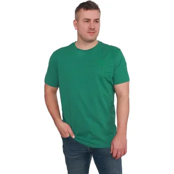 Pánské tričko Tričko krátký rukáv DELNIK zelený melír XXL
