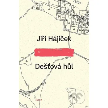Kniha Dešťová hůl - Jiří Hájíček Host