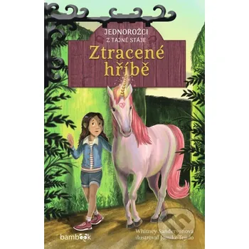 Kniha Jednorožci z tajné stáje – Ztracené hříbě - Whitney Sandersonová, Jomike Tejido Grada