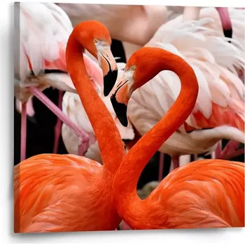 Obraz Sablio Obraz Plameňáci 2 - 50x50 cm