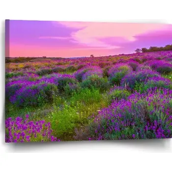 Obraz Sablio Obraz Levandulové pole 2 - 60x40 cm