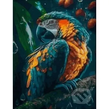 Doplněk ke knize Diamantové malování - Papoušek - Norimpex Norimpex