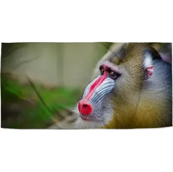 Osuška Sablio Ručník Mandril - 50x100 cm