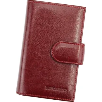 Peněženka Dámská peněženka Z.Ricardo 094 bordó