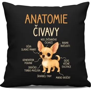 Žertovný předmět Anatomie čivavy - černý polštář s potiskem- Tričkový.cz
