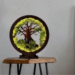 Li-Go 23604/DUB2 - LED Stmívatelná stolní dekorace LED/12W/230V 20x22 cm dub