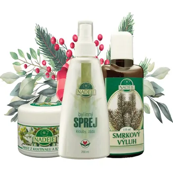 Dárková krabička Naděje - Vánoční krabička - Malá vánoční krabička na klouby a pohybový aparát VB11 345 ml