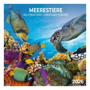Kalendář Meerestiere 2026 – (EN)
