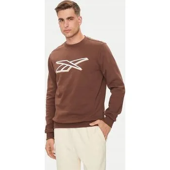 Pánská mikina Mikina Reebok hnědá 100202412