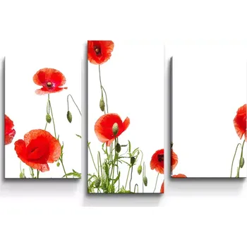 Obraz Sablio Obraz - 3-dílný Vlčí máky - 75x50 cm
